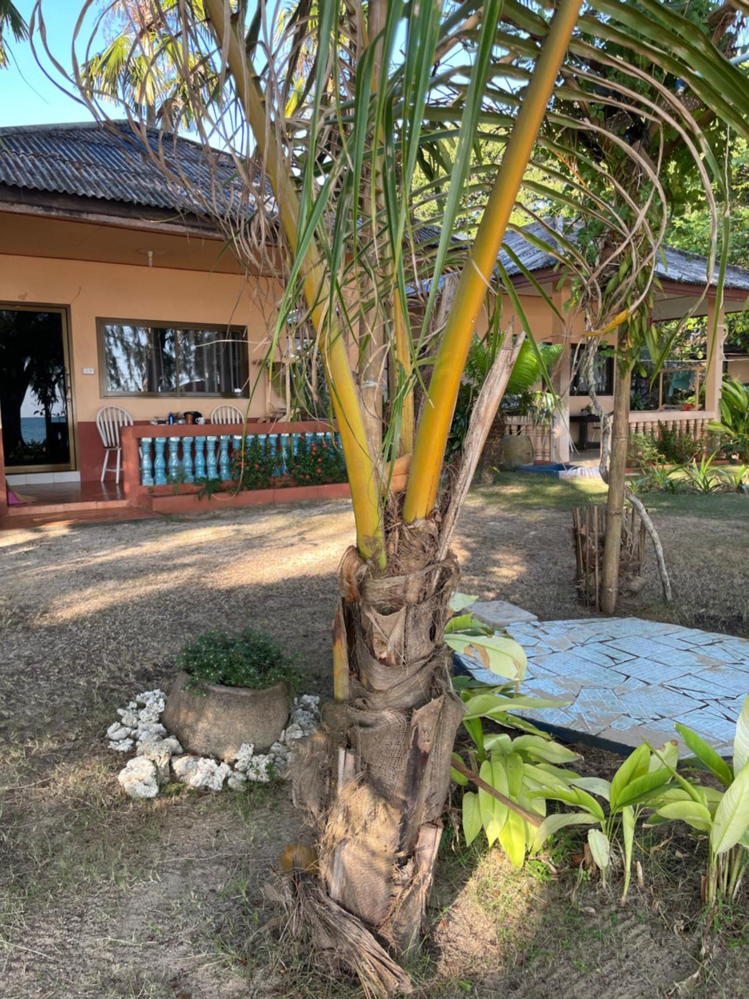 Baanyaiguesthouse Мак Экстерьер фото